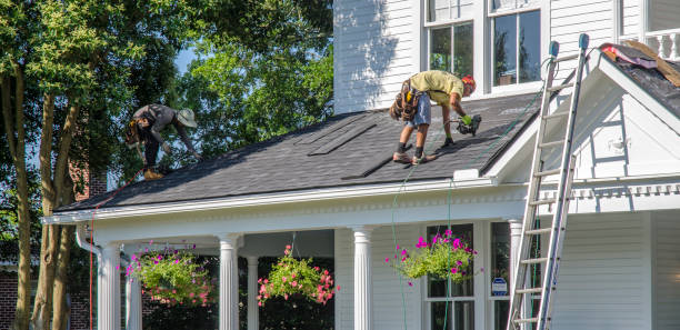 Best Residential Roof Replacement  in USA